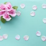 ◇コロナ対策でお見合い◇徳島地域密着のEMI（イーエムアイ）婚活結婚相談所でお見合い