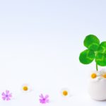 ◇結婚相談所へ行く勇気が無い人への解決方法◇徳島地域密着で人気EMI（イーエムアイ）婚活結婚相談所でお見合い