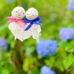 ◇婚活の結婚相談所でのお見合い成功術◇徳島地域密着のEMI（イーエムアイ）婚活結婚相談所でお見合い