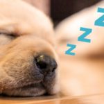 ◇婚活で休憩ってあり？◇徳島地域密着で人気EMI（イーエムアイ）婚活結婚相談所でお見合い