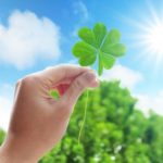 徳島婚活◇婚活の結婚相談所でのお見合いについて②◇徳島地域密着で人気EMI（イーエムアイ）婚活結婚相談所でお見合い