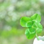 徳島婚活◇こっそり婚活で安心⑤◇徳島地域密着でEMIイーエムアイ婚活結婚相談所でお見合い