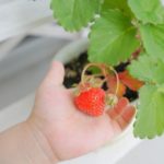 徳島婚活◇紹介カードの趣味に女性は何を書くべき⑨地域密着EMIイーエムアイ婚活結婚相談所でお見合い