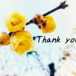 徳島婚活◇結婚相談所で上手くいく人はどんな人？㊵地域密着EMIイーエムアイ婚活結婚相談所見合い