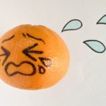 徳島婚活◇お見合いのポイント～会話編～⑲地域密着EMIイーエムアイ婚活結婚相談所見合い