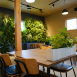 ◇お見合いだけで断わられる男性の特徴 ☆徳島地域密着EMIイーエムアイ婚活結婚相談所お見合い