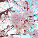 結婚相談所でみじめさを感じた時の対処法と理由☆徳島地域密着EMIイーエムアイ婚活結婚相談所お見合い