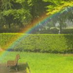 (徳島)結婚相談所　お見合い成功のコツは？攻略法☆徳島地域密着EMI(イーエムアイ)結婚相談所お見合い