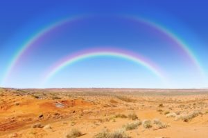 (徳島)結婚相談所 お見合い成功のコツは?攻略法☆徳島地域密着EMI(イーエムアイ)結婚相談所お見合い